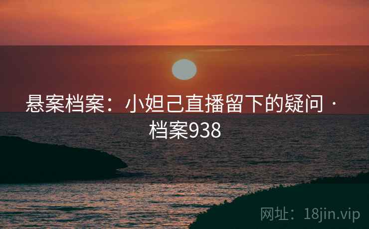 悬案档案：小妲己直播留下的疑问 · 档案938