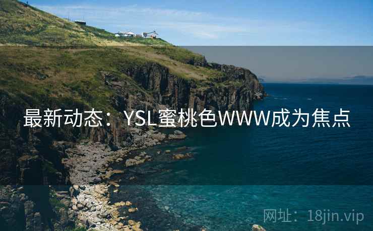 最新动态：YSL蜜桃色WWW成为焦点